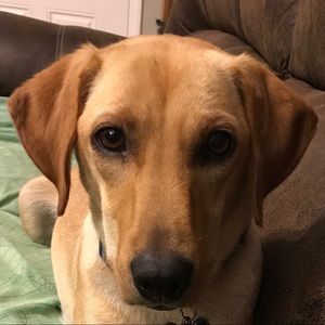 Meet your Posher, Heather